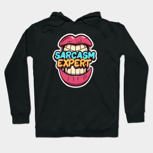 Sarcasm level expert Hoodie